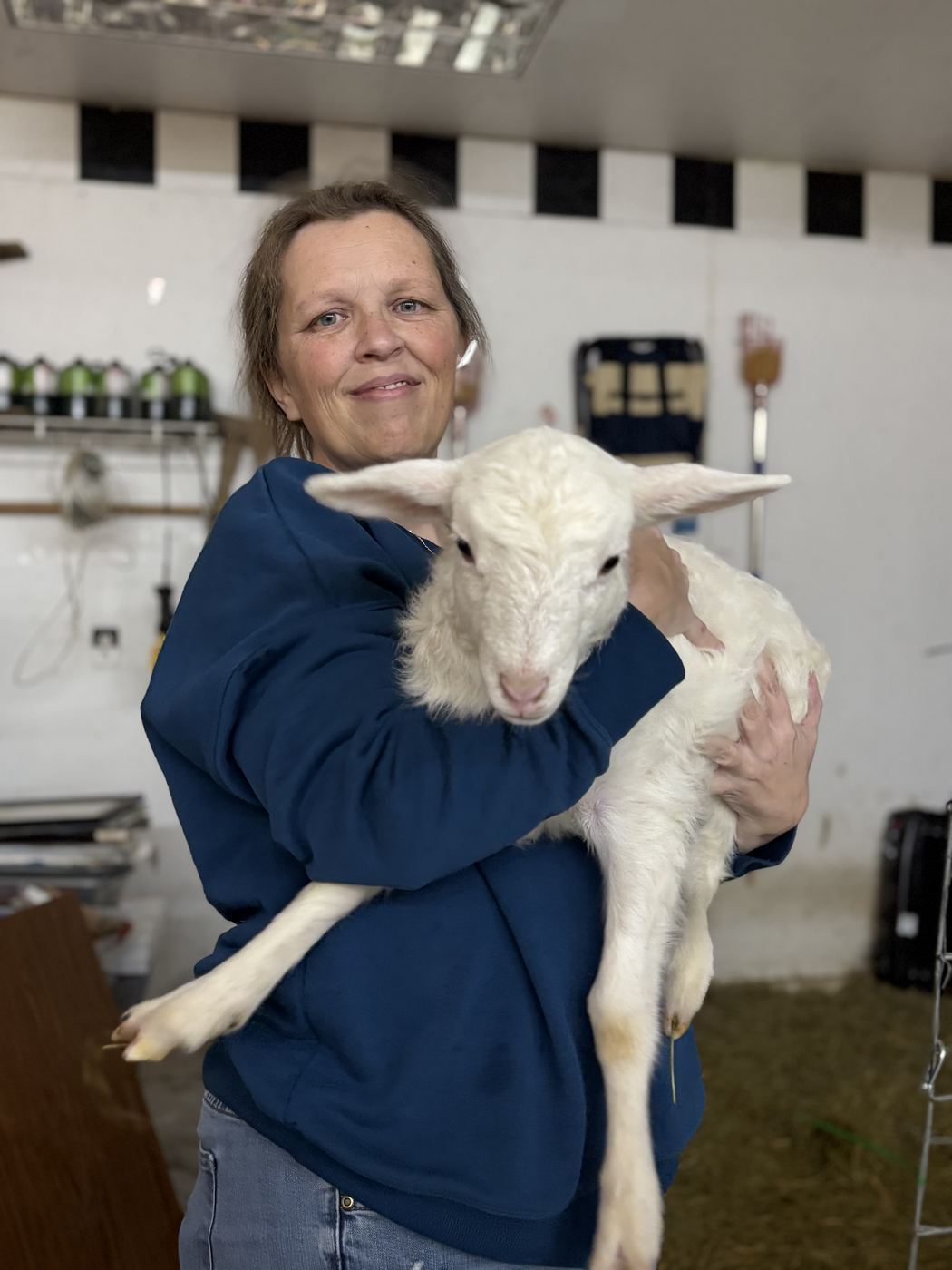 Evie, Held at C-Ewe Farmstead