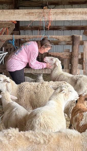 Stephanie, C-Ewe Farmstead