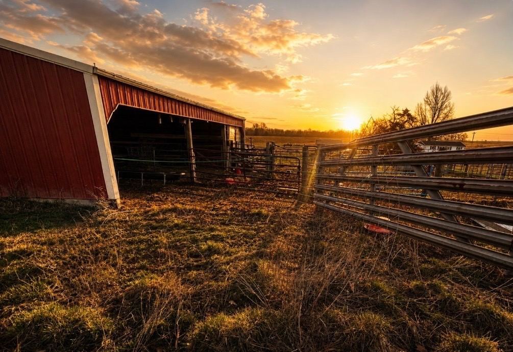 Welcome to C-Ewe Farmstead!